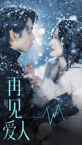 再见爱人短剧版全集(大结局)