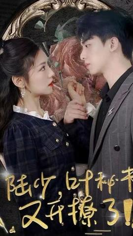 陆少，叶秘书又开撩了1-10集