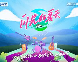 闪光的夏天20240706专访