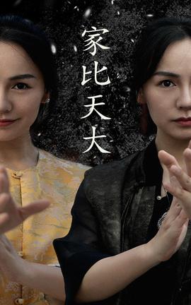 家比天大全集(大结局)