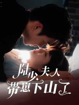 陆少夫人带崽下山了全集(大结局)