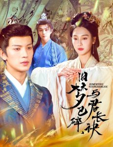 旧梦已碎，与君长诀＆终是深情错付君全集(大结局)