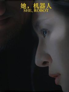 她，机器人全集(大结局)