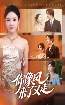 你像风来了又走(全集)