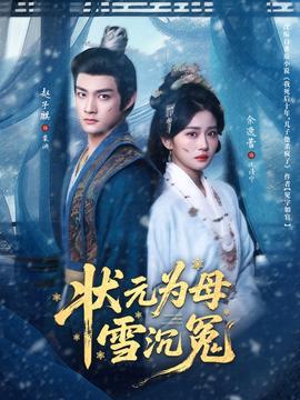 状元为母雪沉冤(全集)